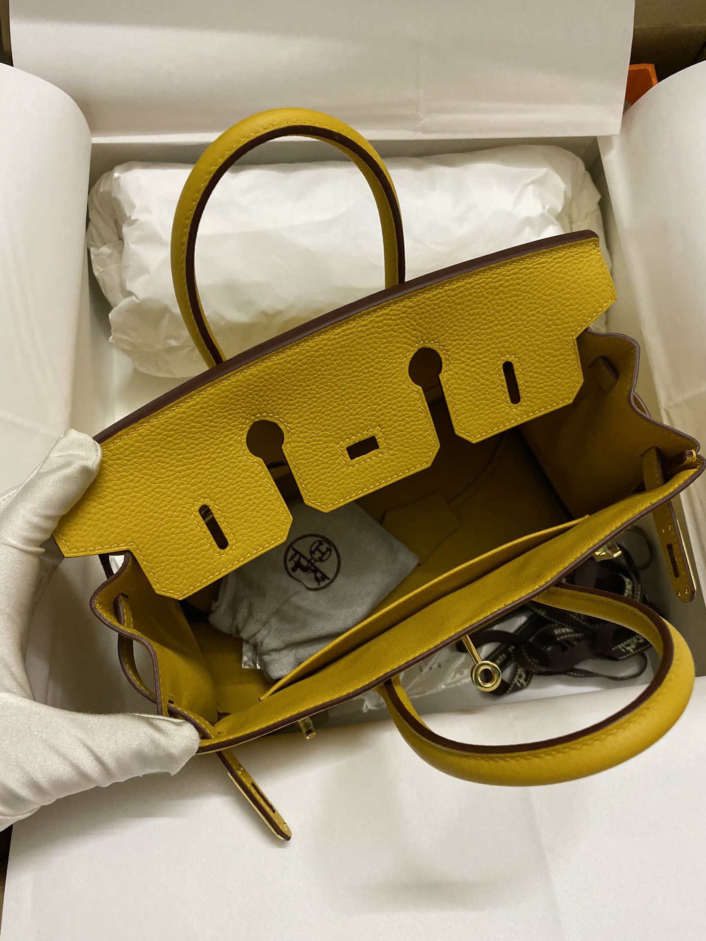 Hermes Birkin 25CM Togo Leather Handbag Yellow